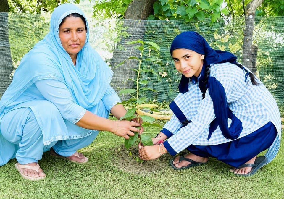 A teacher and a student planting a sapling on the school grounds